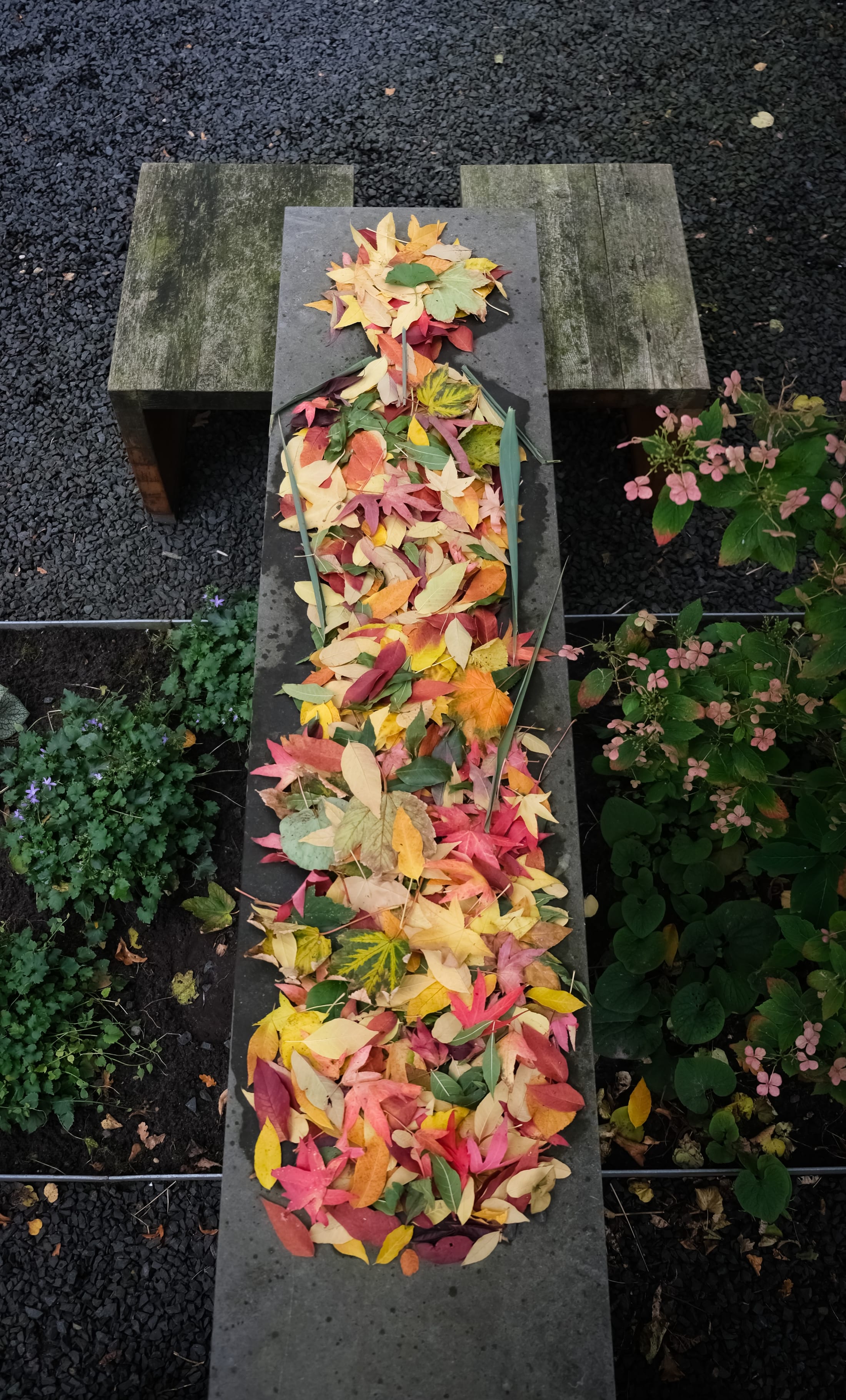 Fallen autumn leaves arranged in a body shape on a stone bench