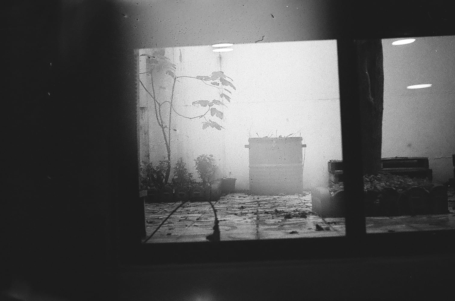 Photograph from People, Places, Time